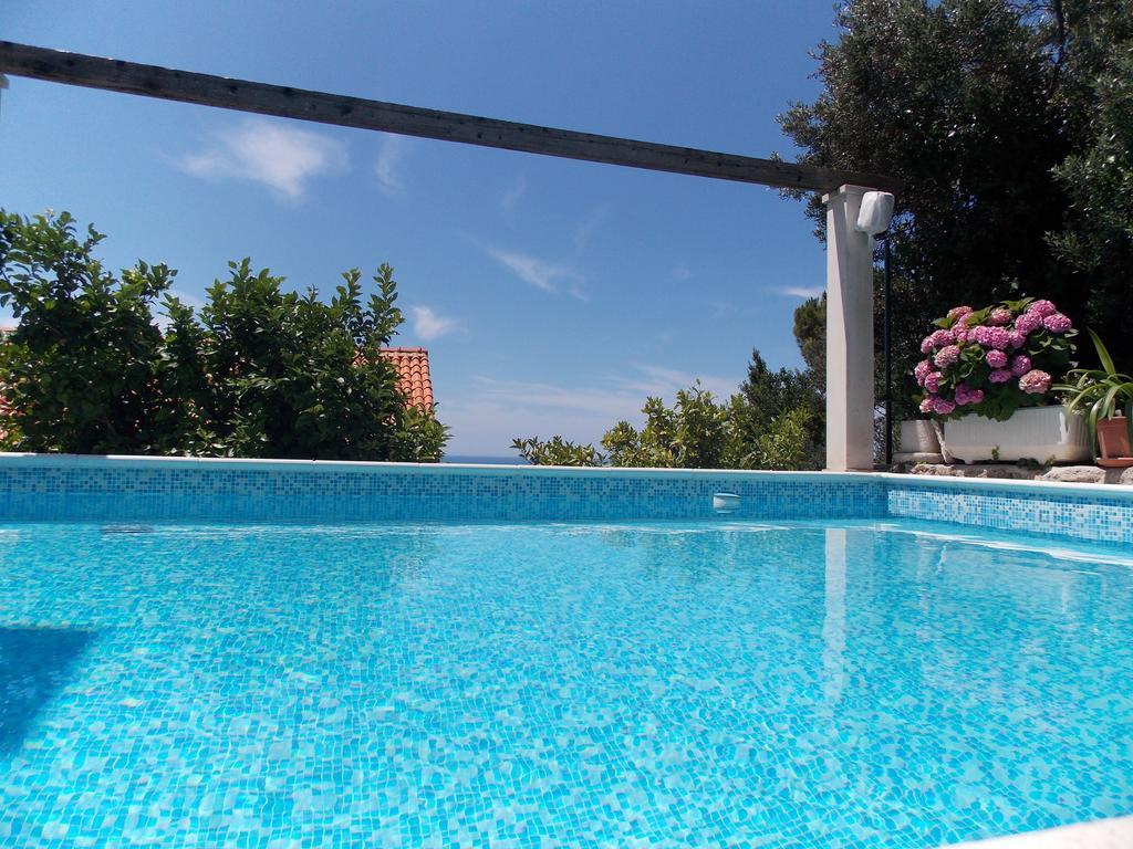 Guesthouse Villa Klaic 杜布罗夫尼克 外观 照片