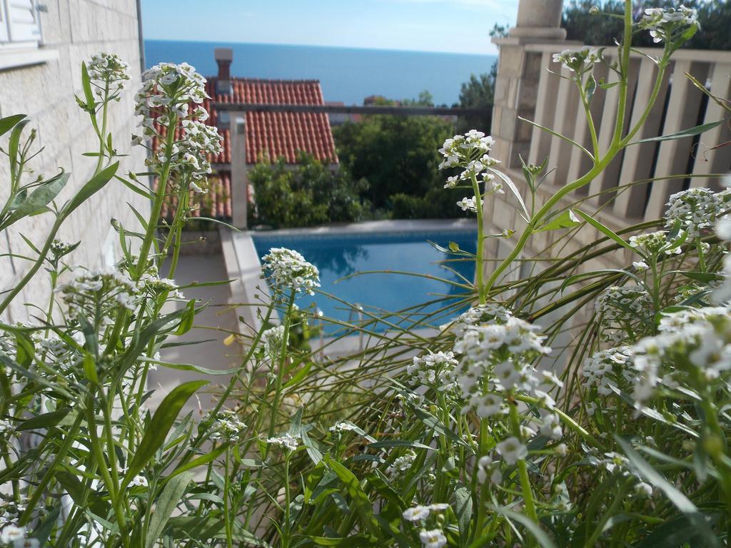 Guesthouse Villa Klaic 杜布罗夫尼克 外观 照片